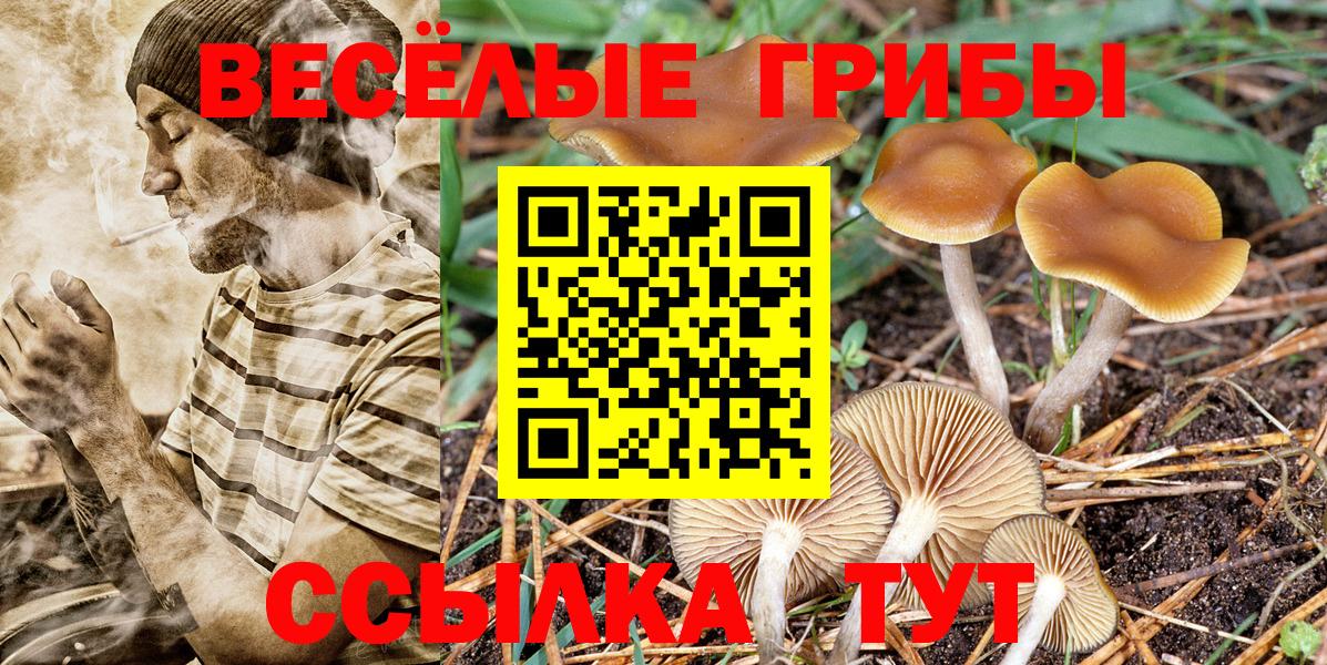 Гусь-Хрустальный  Галлюциногенные грибы Cubensis  Вход с VPN  Псилоцибиновые грибы Psilocybe 